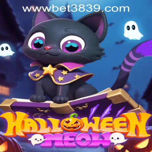 Discover the Exciting World of HalloweenMeow: A Spooky Adventure